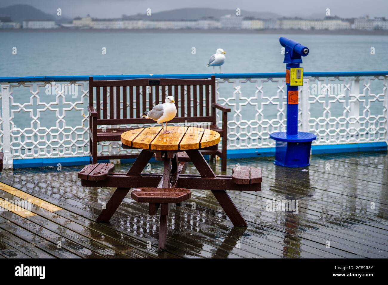 Wet Seaside Holiday - jour de pluie à Llandudno dans le nord du pays de Galles. Vacances britanniques humides. Banque D'Images