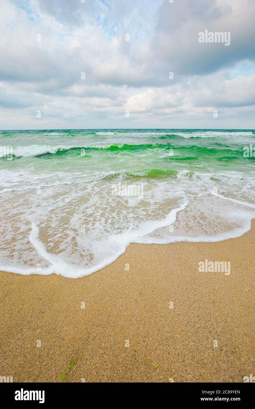 vagues vertes sous un ciel gris. marée qui roule sur la plage. paysage vide et calme. concept de solitude Banque D'Images