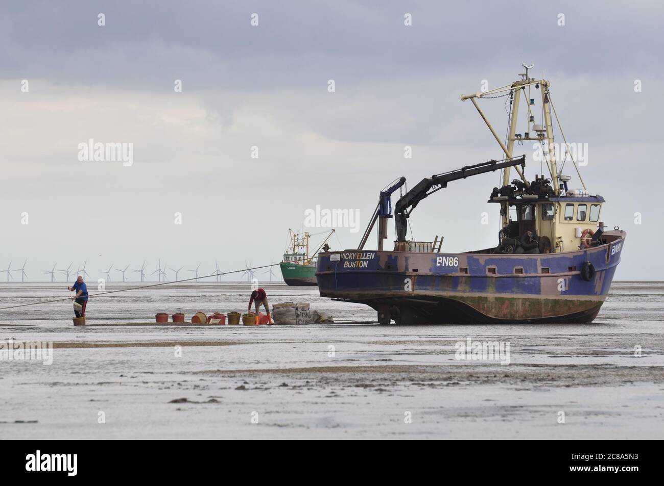 Bateaux de pêche commerciaux de Boston et King's Lynn à la main-raking cockles dans le Wash, une grande crique sur la côte est de l'Angleterre. Banque D'Images