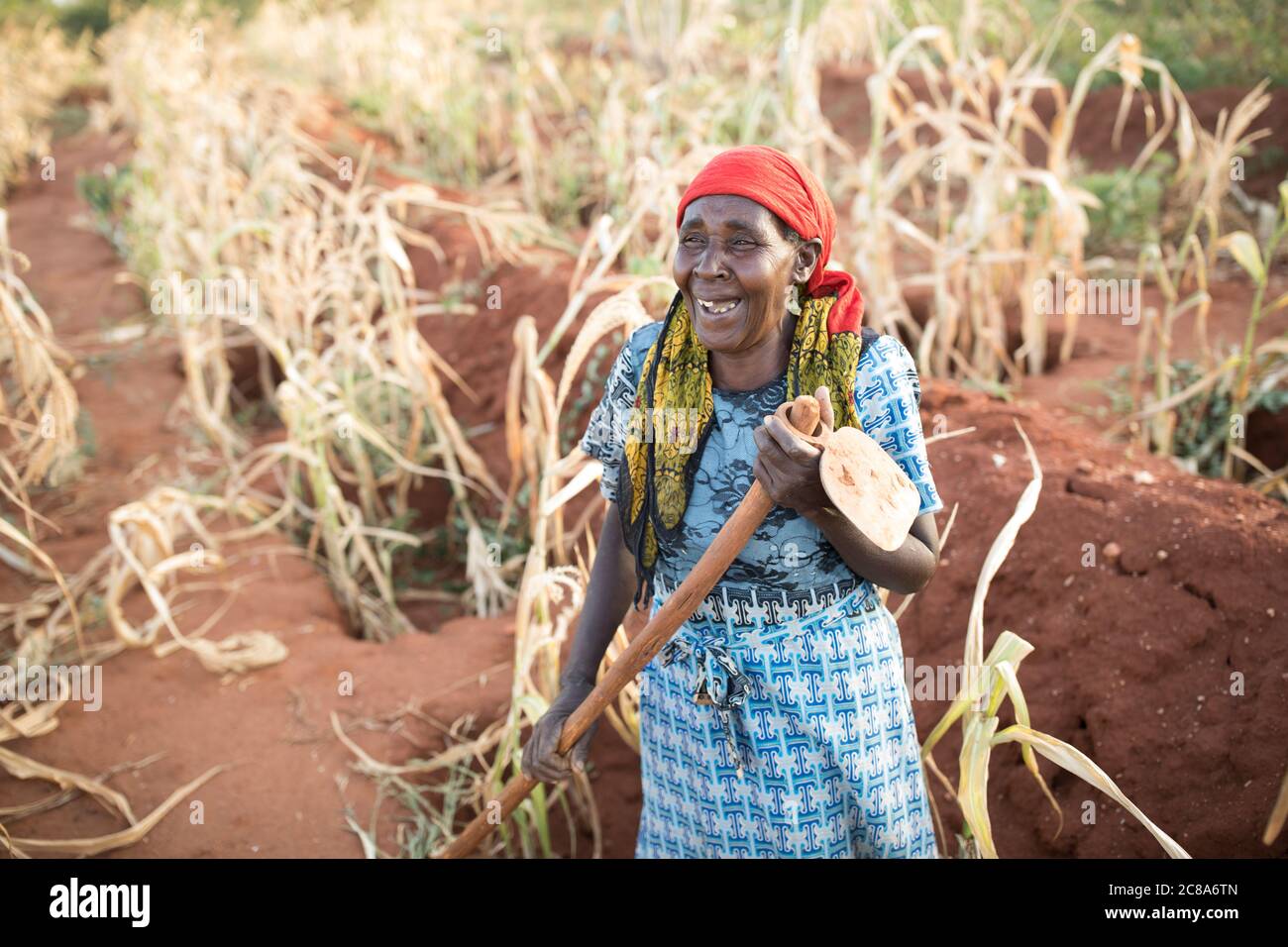 Les agriculteurs touchés par le changement climatique utilisent les techniques de puits de monticule et de zai pour canaliser l'eau dans des fosses riches en compost et en nutriments où les cultures sont plus productives. Banque D'Images