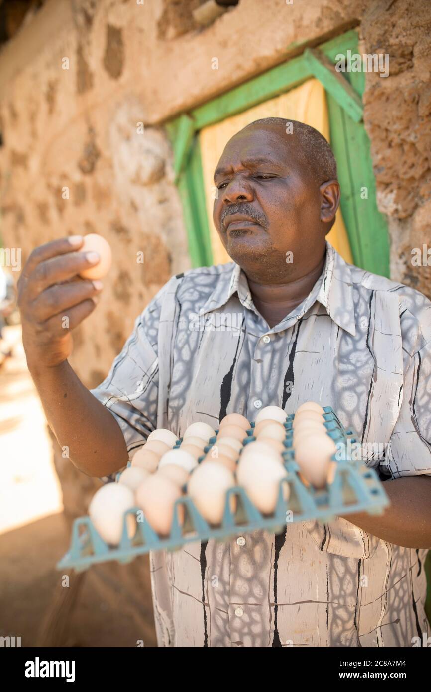 Un petit agriculteur mâle tient un plateau d'œufs dans sa ferme de poulet du comté de Makueni, au Kenya, en Afrique de l'est. Banque D'Images