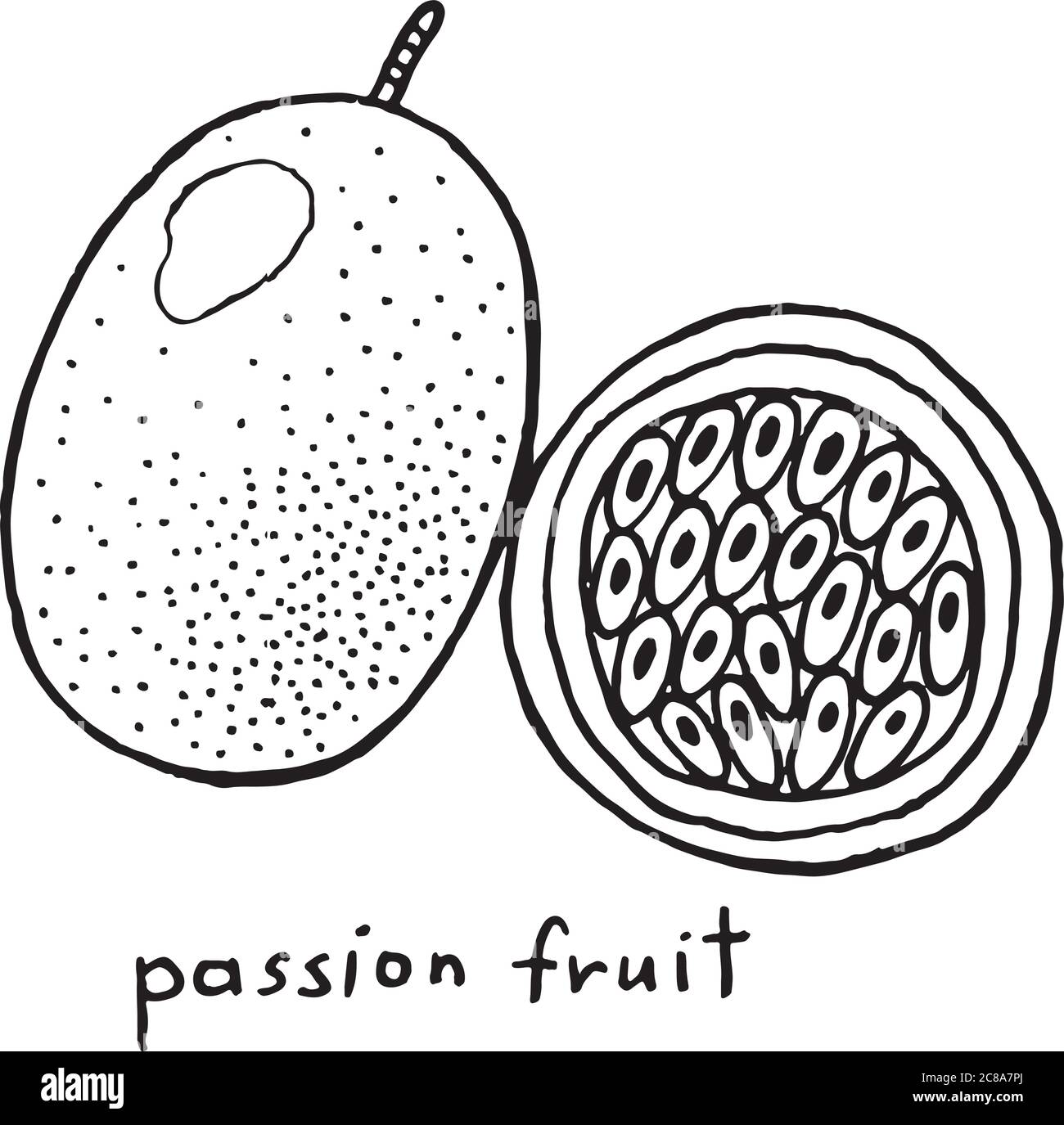 Page de coloriage fruit de la passion. Illustrations vectorielles noir et blanc pour livres de coloriage pour adultes. Illustration de la ligne de fruits exotiques et tropicaux. Illustration de Vecteur