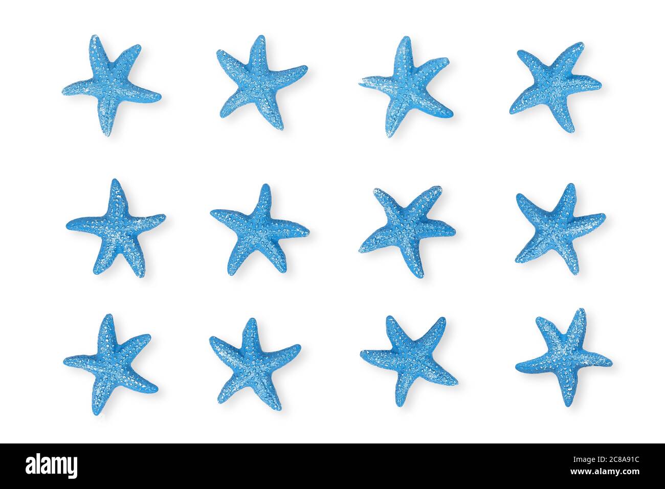 douze étoiles de mer bleues sur blanc pour les arrière-plans Banque D'Images