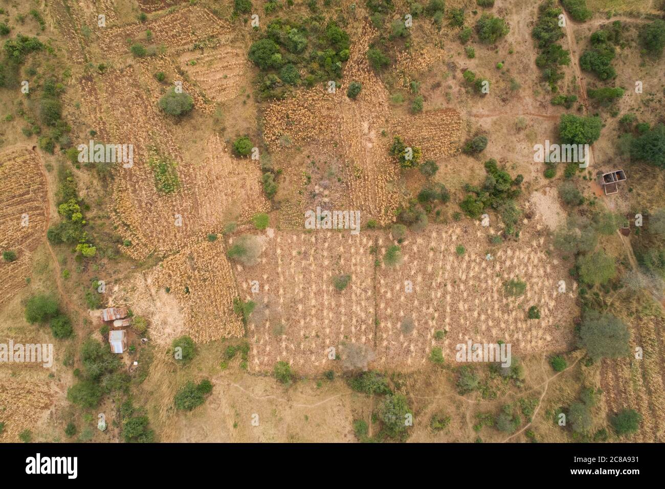 Comté de Makueni, Kenya paysages aériens avec terres agricoles et maisons rurales. Afrique de l'est. Banque D'Images