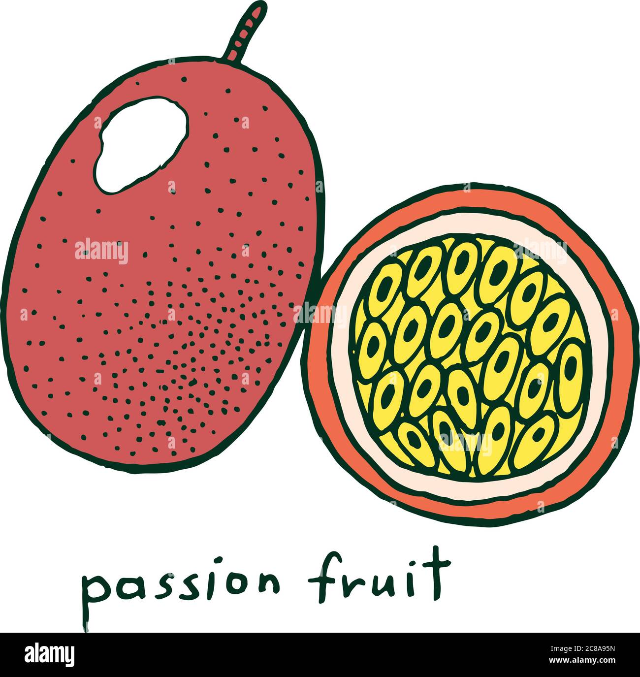 Page de coloriage fruit de la passion. Motif vectoriel coloré pour les albums de coloriage pour adultes Illustration de Vecteur