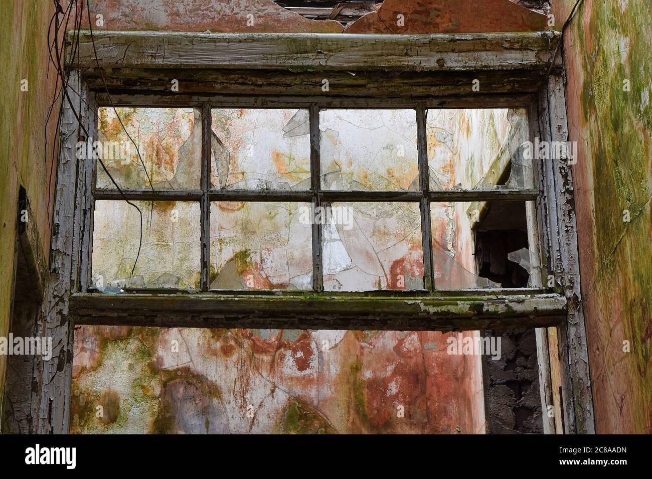 Intérieur abandonné de l'hôpital Thornton Fever de Fife, en Écosse, montrant une fenêtre cassée, de la moisissure sur les murs et de la peinture écaillée Banque D'Images