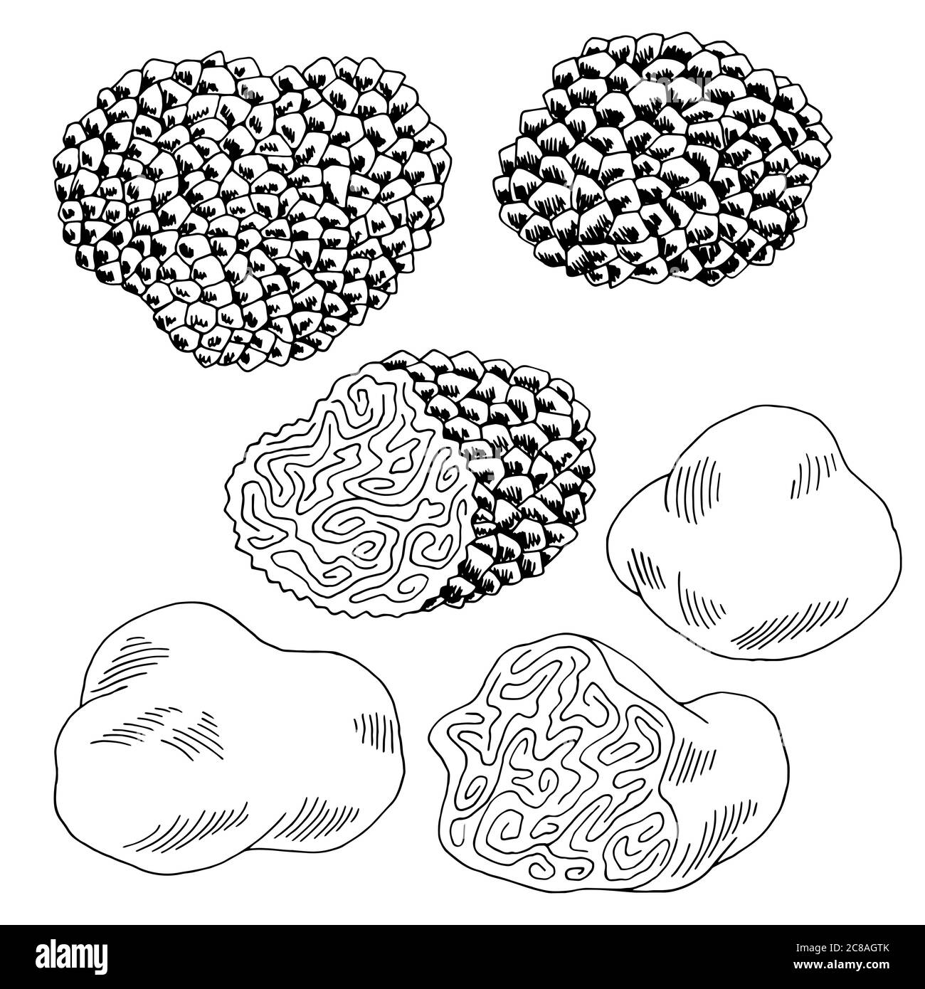 Image de champignons de truffe noir blanc isolé ensemble de croquis vecteur d'illustration Illustration de Vecteur