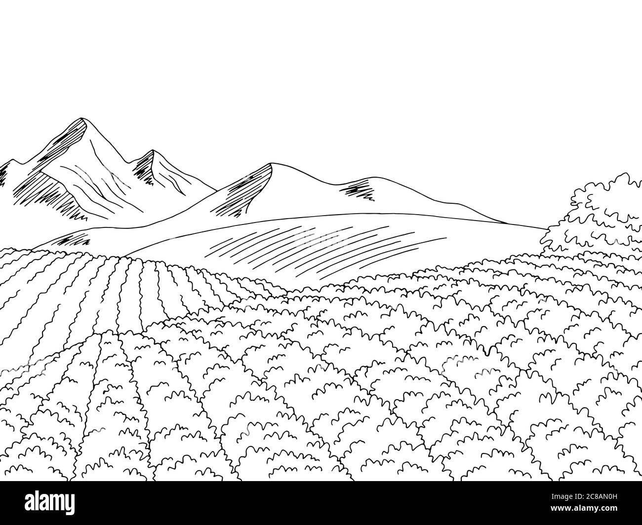 Motif de champ de plantation de soja noir blanc paysage dessin illustration vecteur Illustration de Vecteur