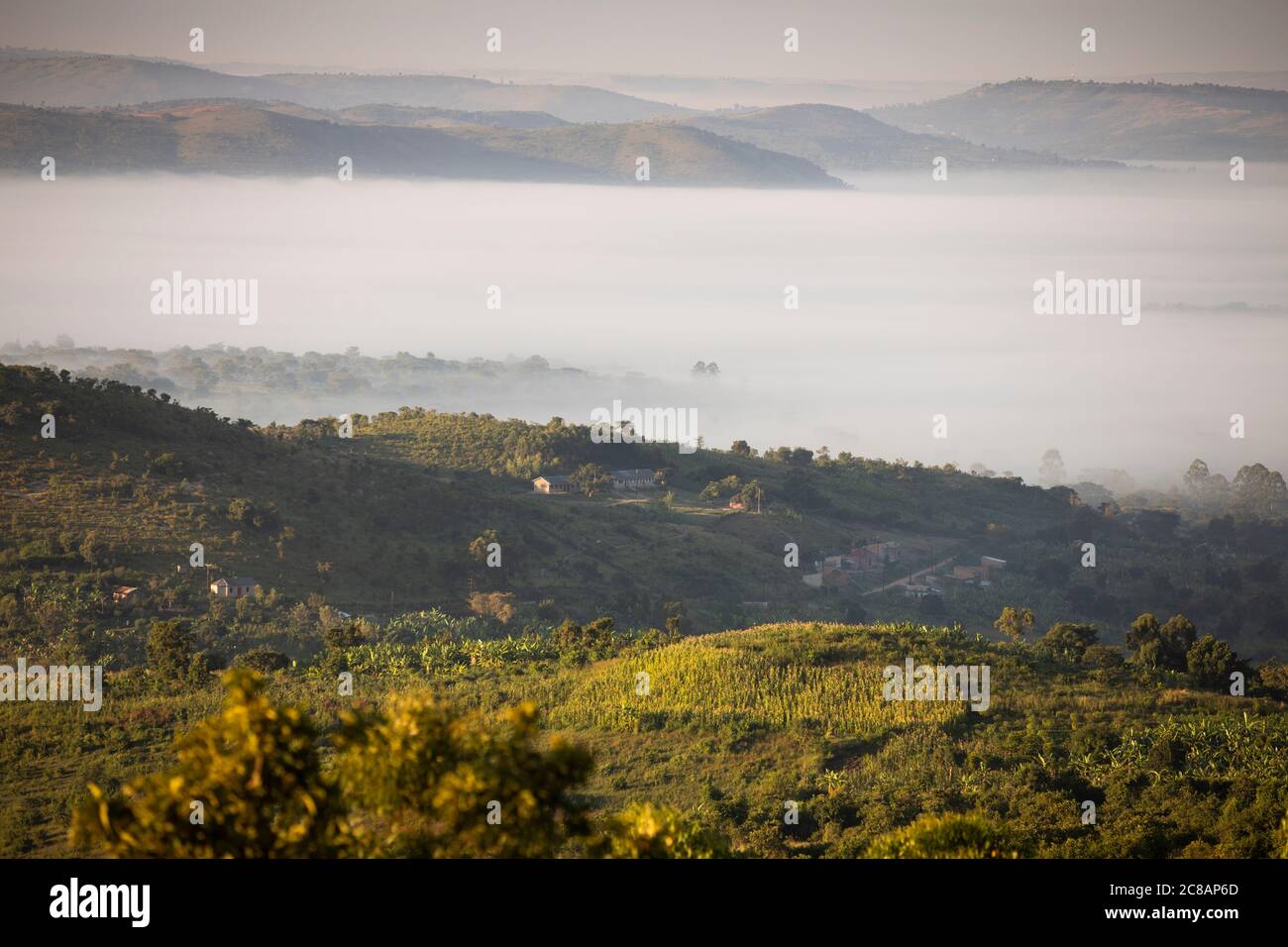 Le brouillard enveloppe une vallée sous les collines ondulantes et les communautés du district de Lyantonde, en Ouganda, en Afrique de l'est. Banque D'Images