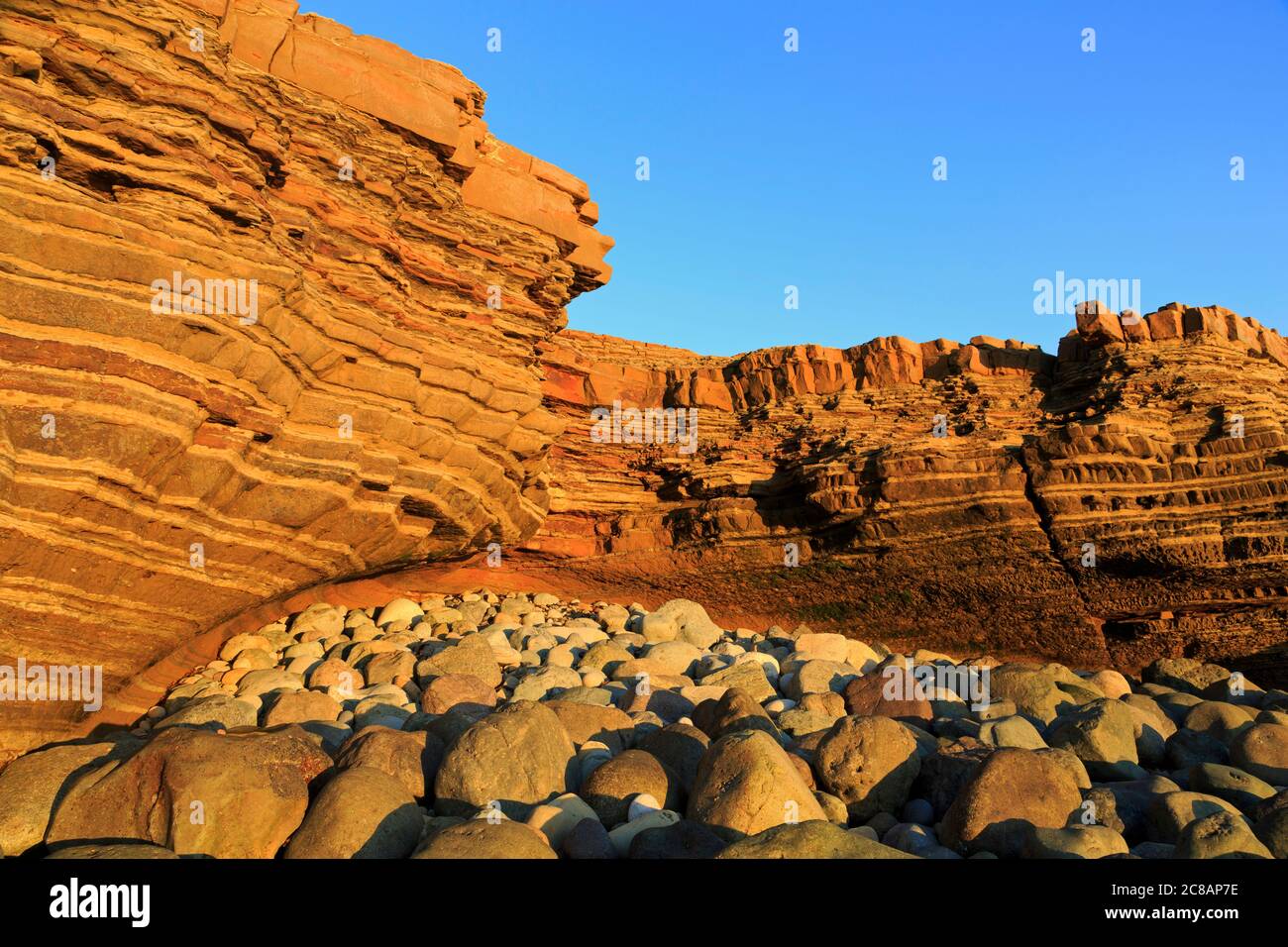 Marée basse, Cabrillo National Monument, point Loma, San Diego, Californie, Etats-Unis Banque D'Images