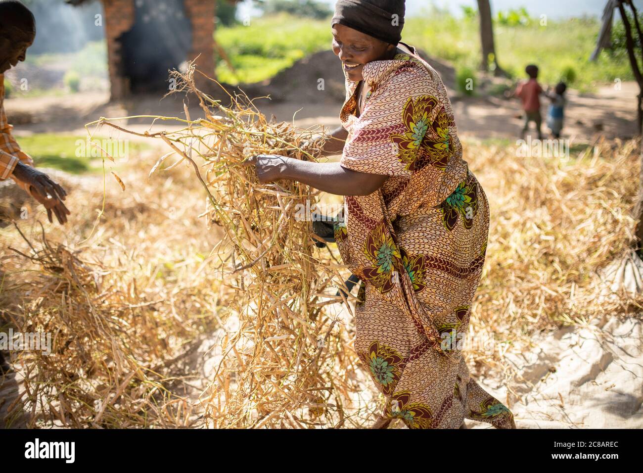 Une femme paysanne répand sa récolte de haricots frais pour sécher au soleil du matin avant de les retirer de leurs gousses dans le district de Lyantonde, en Ouganda. Banque D'Images