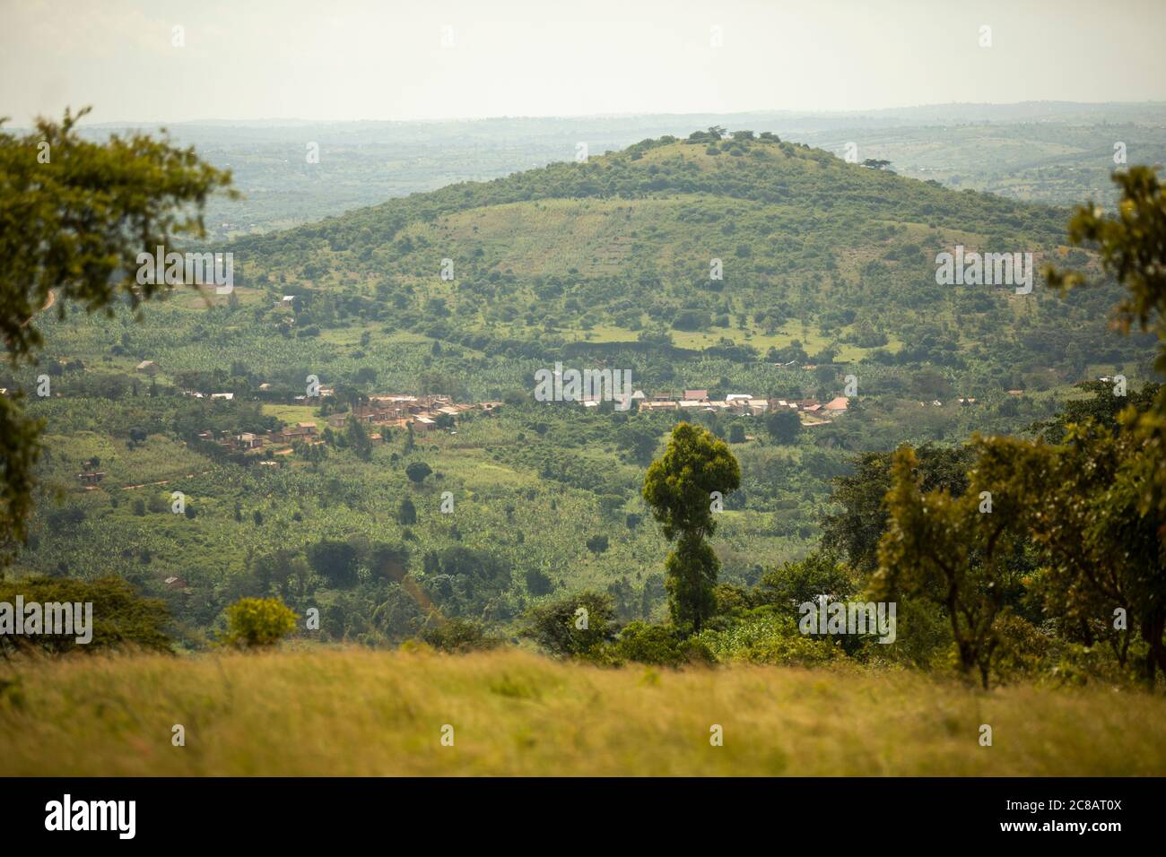 Collines et communautés vallonnées du district de Lyantonde, Ouganda, Afrique de l'est. Banque D'Images