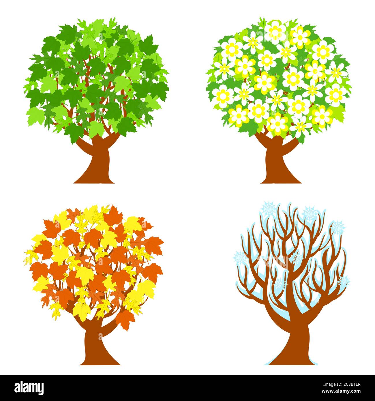 illustration vectorielle des arbres de quatre saisons isolés sur fond blanc. Illustration de Vecteur