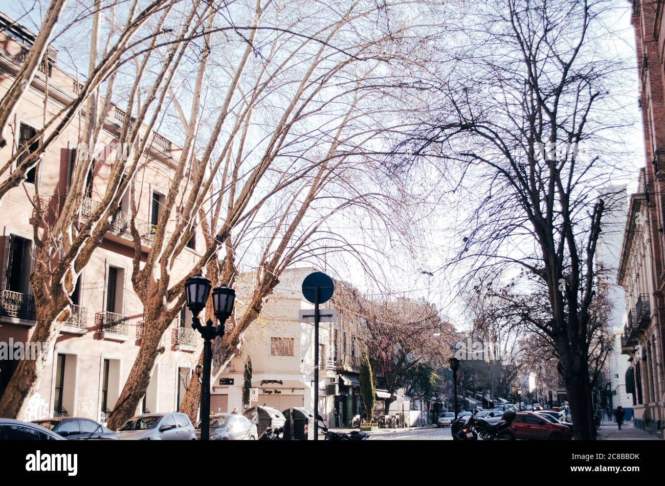 Vue sur la rue de Chile Avenue, Buenos Aires, avec de vieux bâtiments résidentiels avec des branches d'arbres sèches couvrant le ciel pendant une journée d'automne froide et certains Banque D'Images
