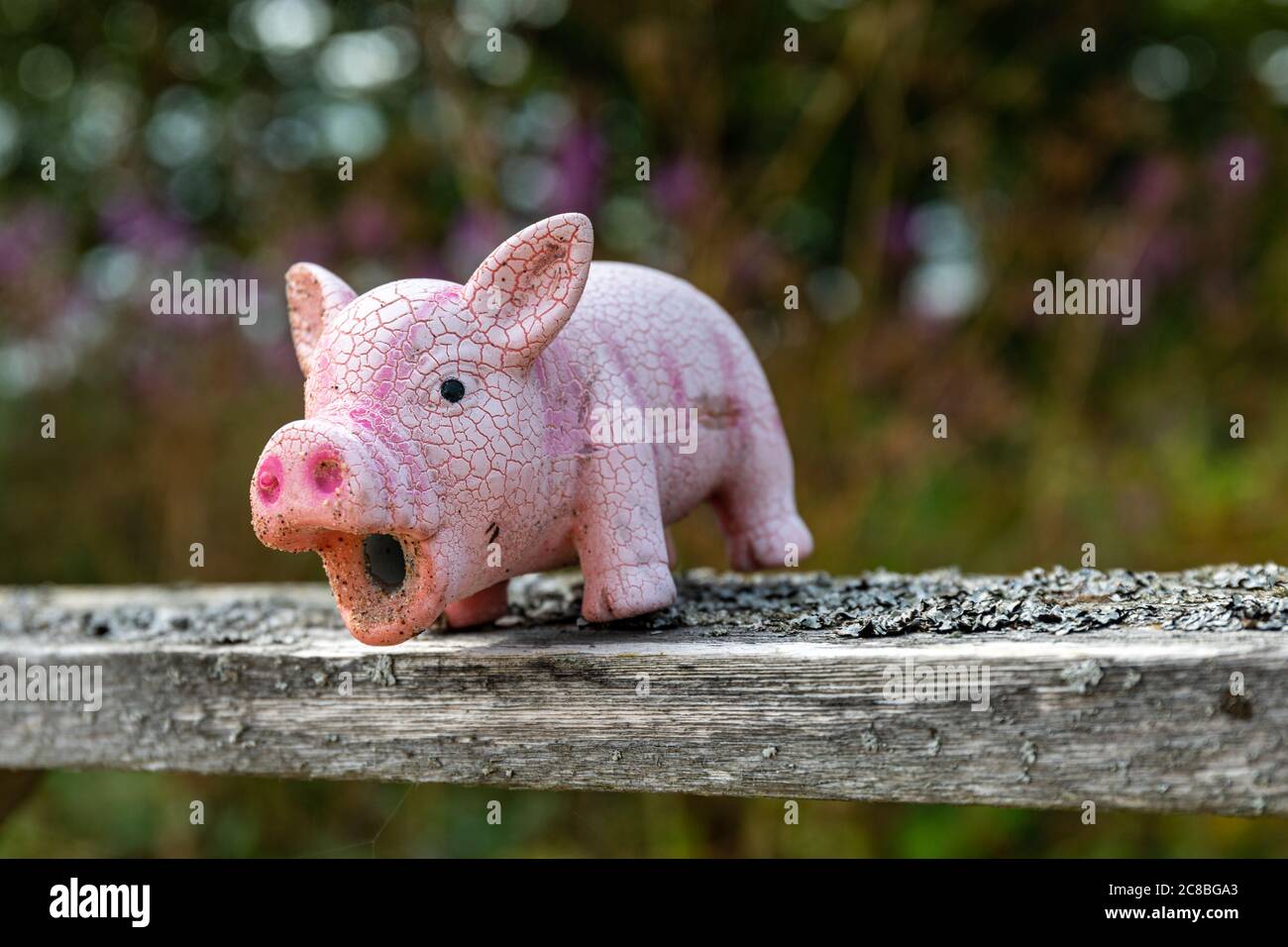 Jouet raclé de porcelet rose sur une rampe abîmé Banque D'Images