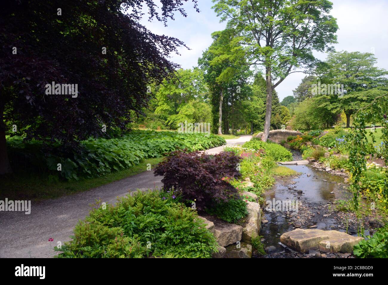 Beck coule par sentier à RHS Garden Harlow Carr, Harrogate, Yorkshire, Angleterre, Royaume-Uni. Banque D'Images