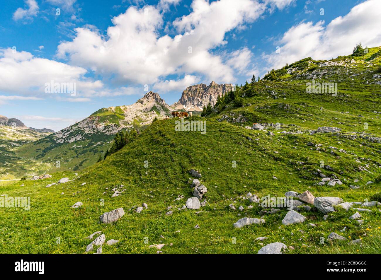 Randonnée fantastique dans les montagnes de Lechquellen dans le Vorarlberg Autriche près de Lech, Warth, Bludenz Banque D'Images