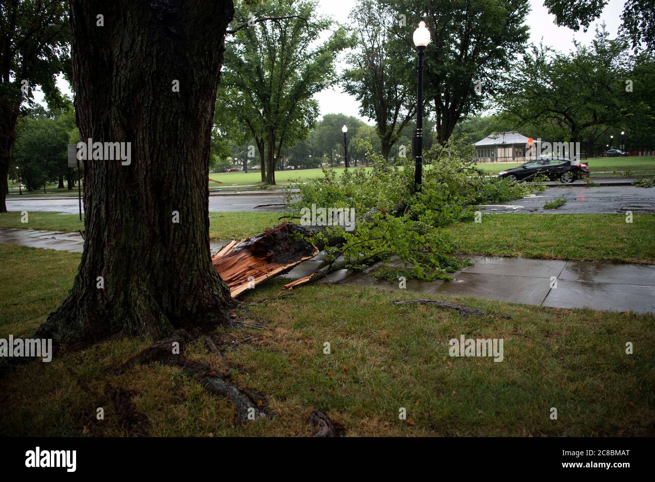 Washington, DC, États-Unis. 22 juillet 2020. Des branches d'arbres déchus sont observées après de fortes pluies à Washington, DC, aux États-Unis, le 22 juillet 2020. Mercredi, des pluies torrentielles ont martelé dans la région de Washington DC, provoquant des coupures de courant importantes. Credit: Liu Jie/Xinhua/Alay Live News Banque D'Images