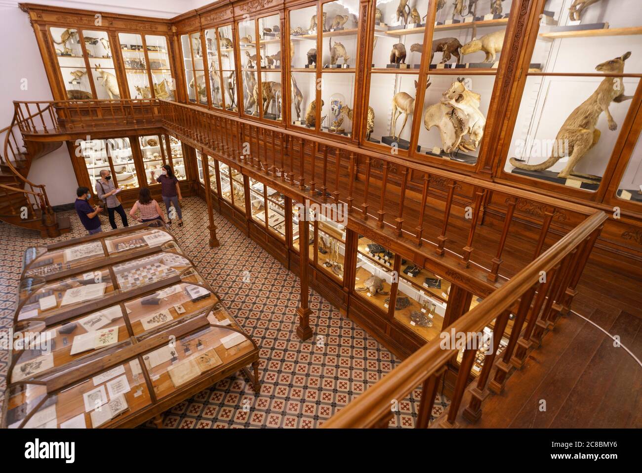 Le Musée des Sciences de l'Université de Coimbra aka Museu da Ciência da Universidade de Coimbra à Coimbra, Portugal, Europe Banque D'Images