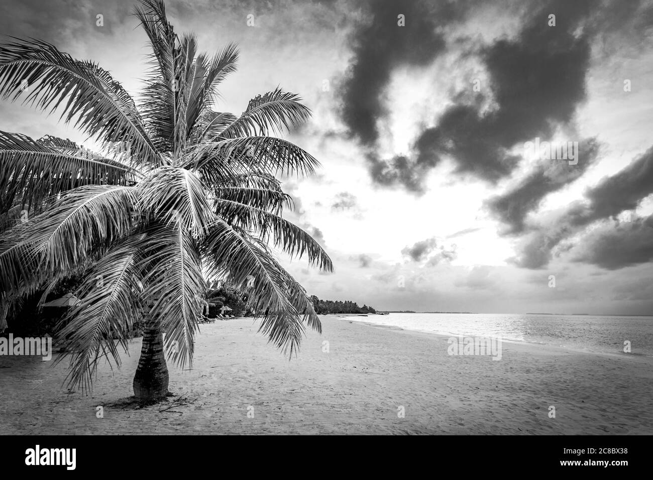 Paysage spectaculaire de paradis tropical île plage avec ciel ensoleillé parfait, artistique noir et blanc processus Banque D'Images