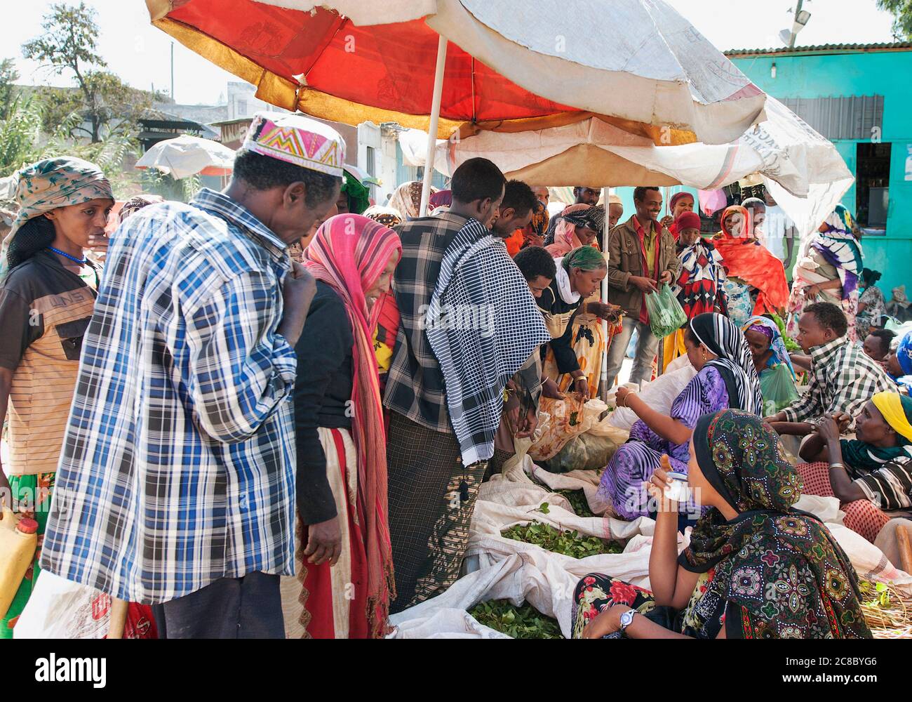 Un groupe de personnes vendant des médicaments Khat sur le marché, en décembre 26, 2012 à Harar, en Éthiopie. La mastication de khat a une histoire comme une coutume sociale datant Banque D'Images