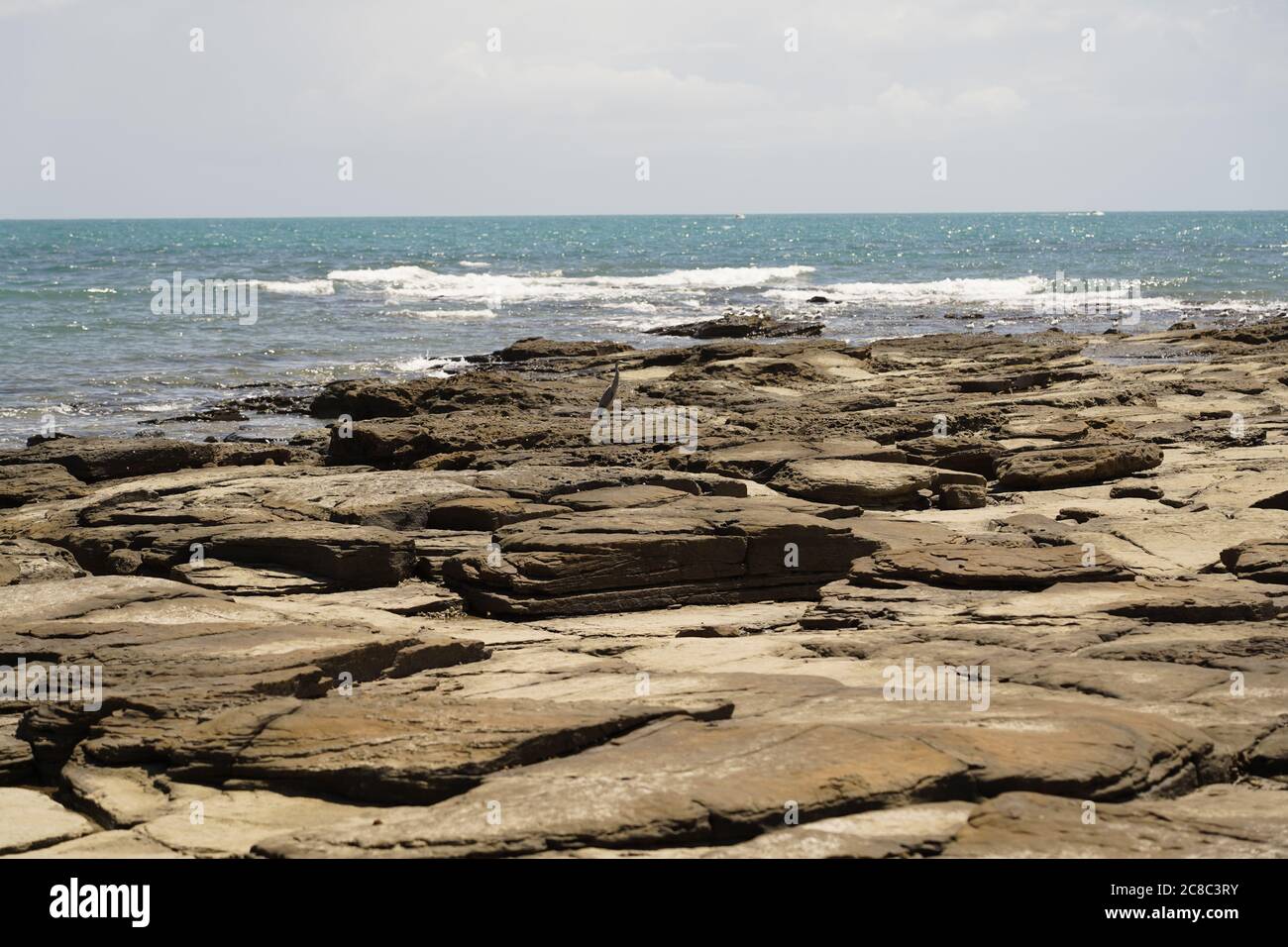 Pointe Vernon, affleurement rocheux avec paysage marin sauvage des oiseaux de mer Banque D'Images