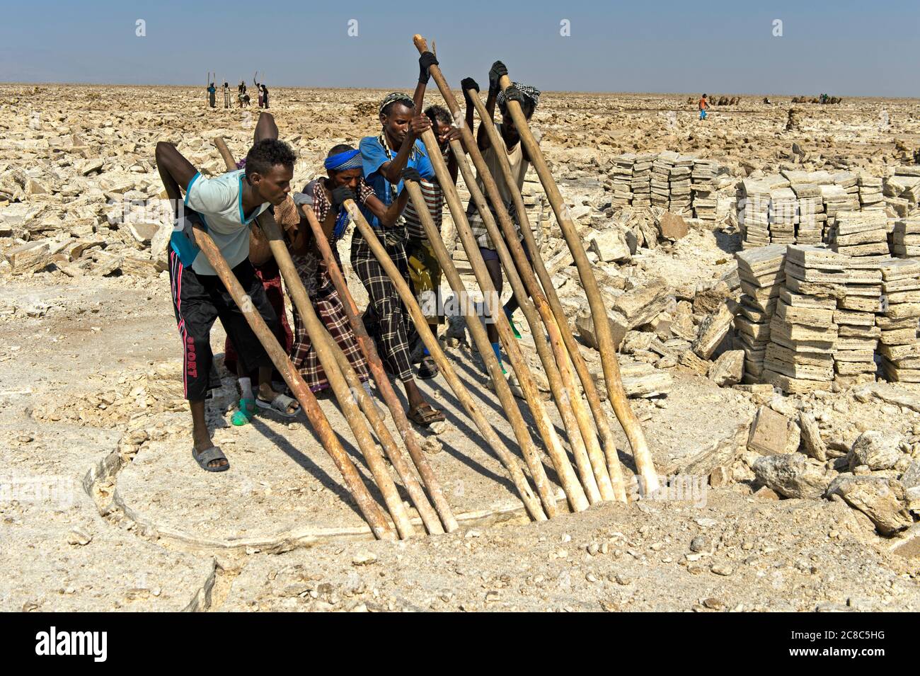 Les travailleurs du sel cassent avec des crossbars en bois les blocs de sel de la croûte de sel du lac Assale, près de Hamadela, Danakil Dépression, région d'Afar, Ethiopie Banque D'Images