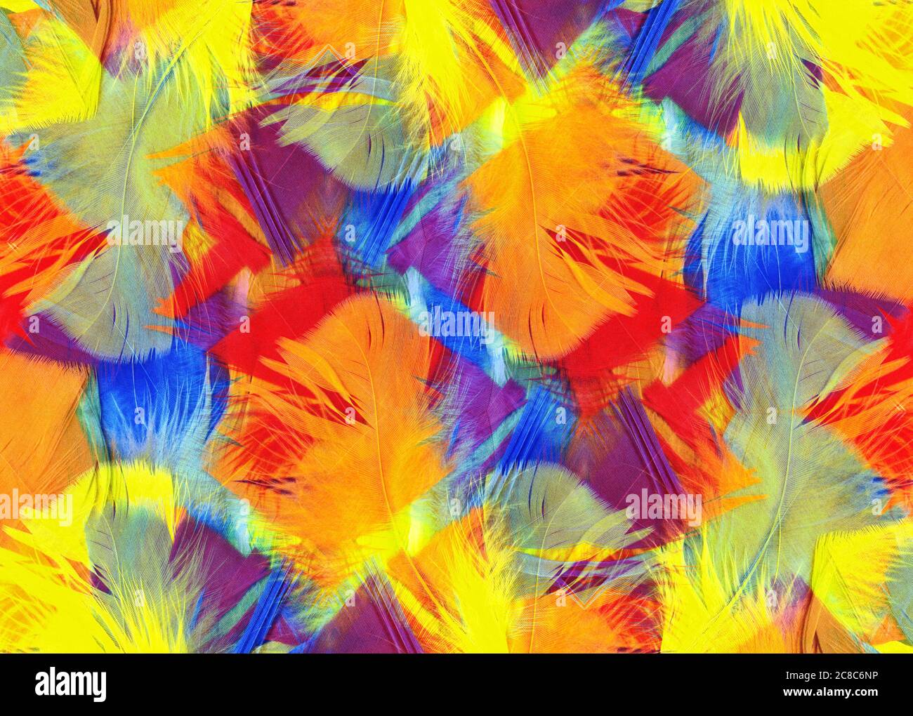Photo d'arrière-plan de texture de plumes abstraites multicolores Banque D'Images