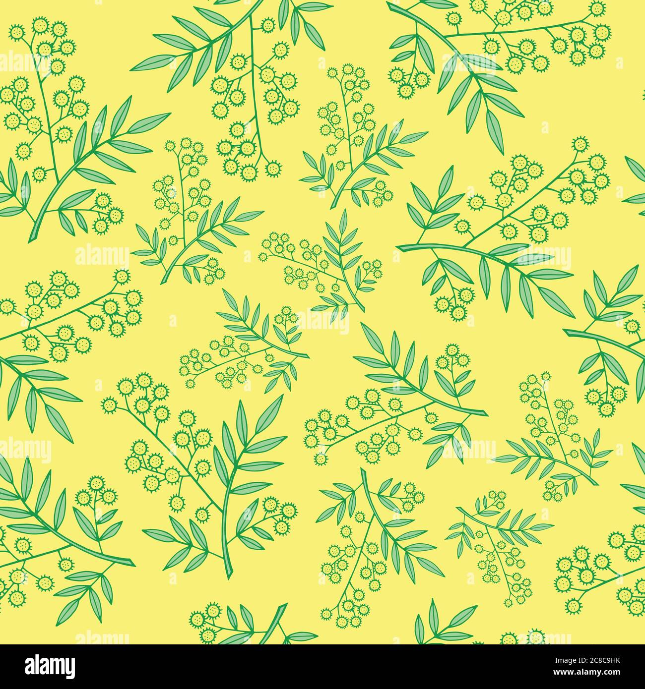Mimosa branche un motif sans couture. Fond de dessin animé et motif de coolé pour un tissu, un imprimé et un motif textile. Illustration vectorielle Illustration de Vecteur