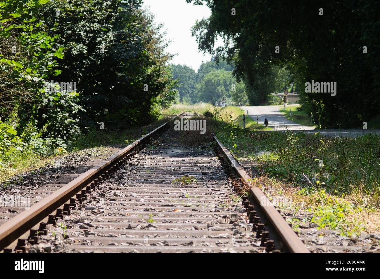 Une ancienne ligne de chemin de fer abandonnée à nulle part. Mais très agréable menant à travers une forêt. Banque D'Images