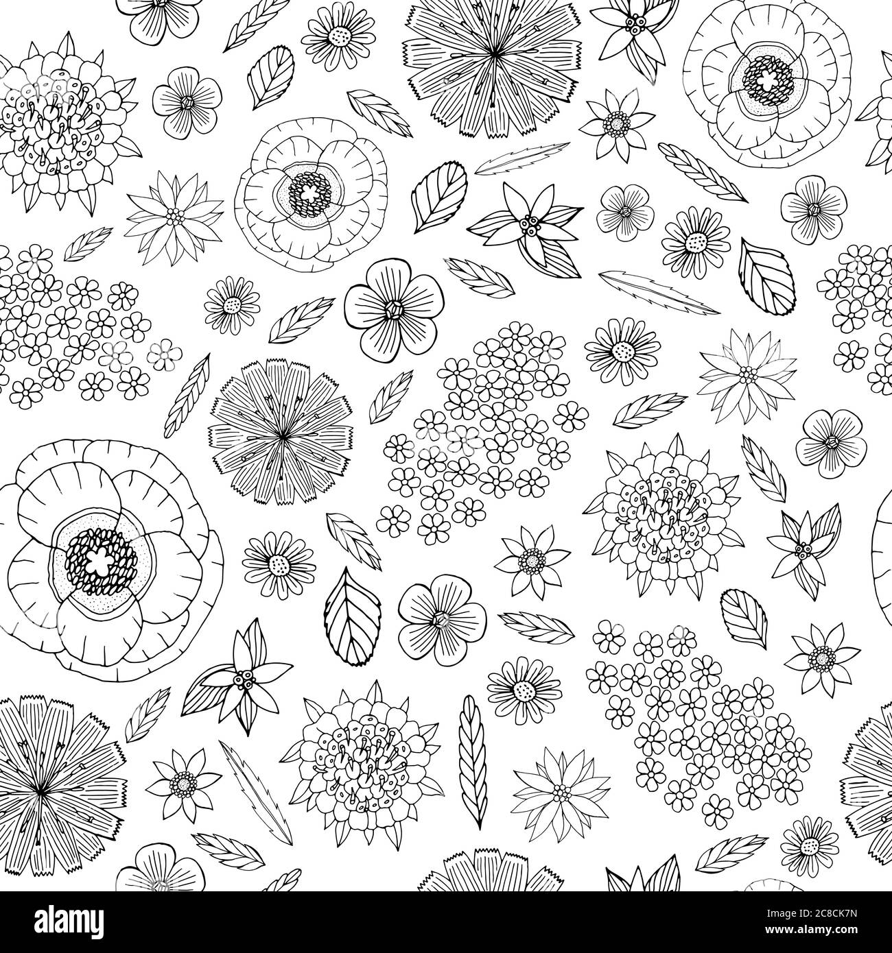 Motif fleurs de champ - page de coloriage pour adultes. Illustration vectorielle Illustration de Vecteur