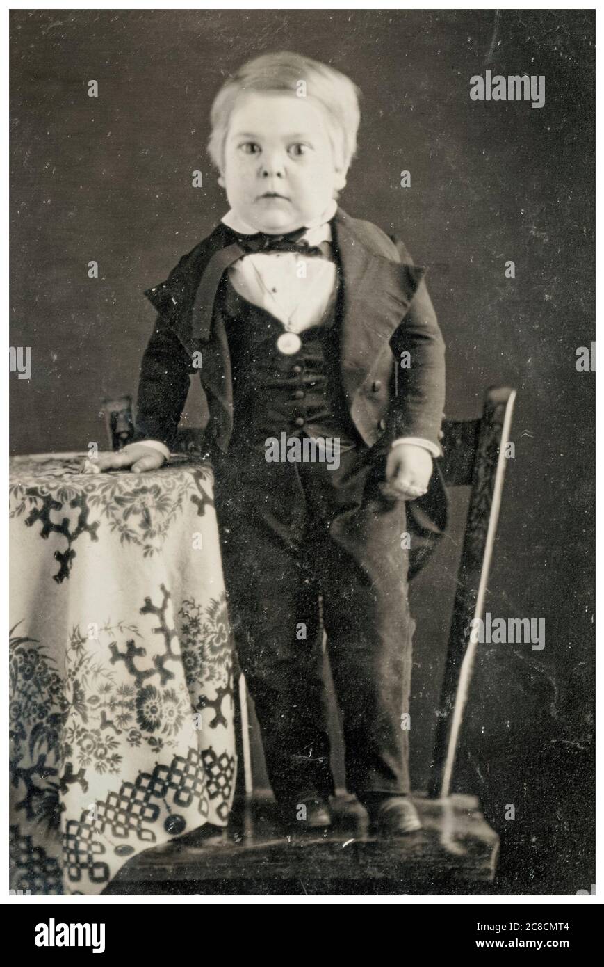 Tom Thumb (Charles Sherwood Stratton) (1838-1883), Circus Performer, photographie vers 1848 Banque D'Images Tom Thumb (Charles Sherwood Stratton) (1838-1883), Circus Performer, photographie vers 1848 Banque D'Images