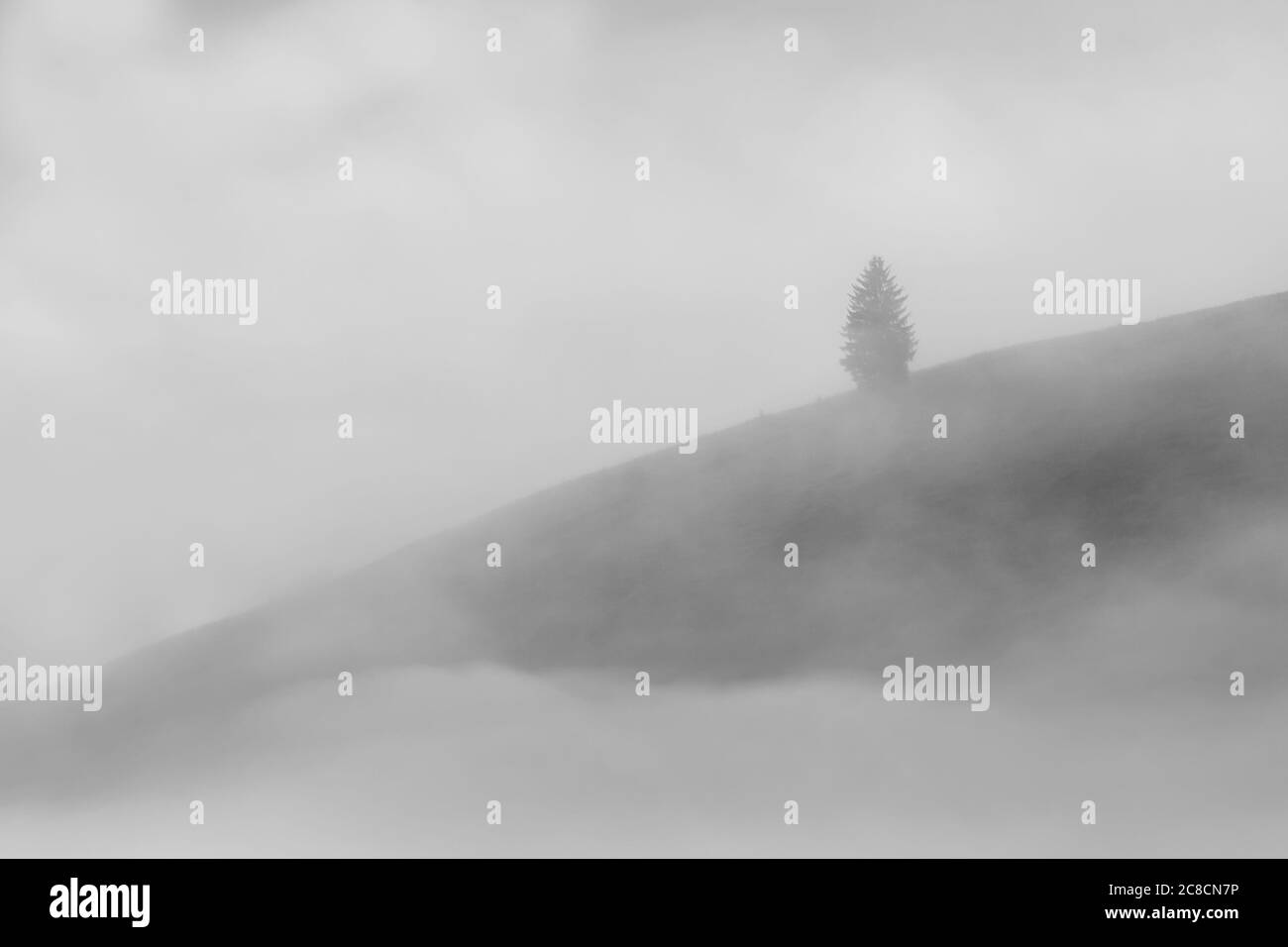 Lever de soleil d'été dans le village de Transylvanie. Paysage brumeux aérien en Transylvanie, au lever du soleil Banque D'Images