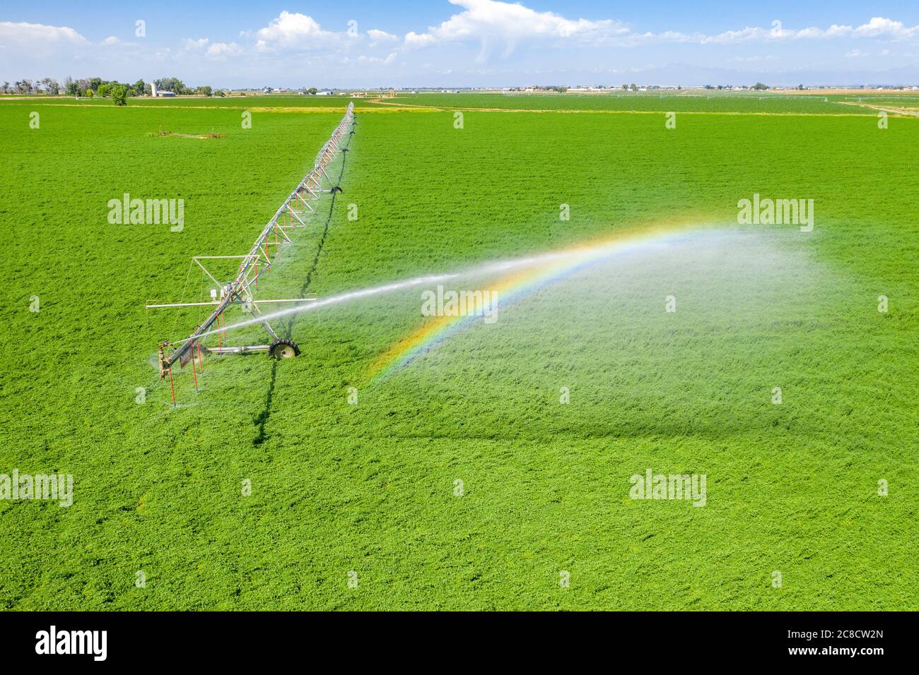 LaSalle, Colorado - UN système d'irrigation à pivot central dans le comté de Weld, dans l'est du Colorado. La zone ne reçoit que 15 pouces de pluie par an, donc de l'eau pour ir Banque D'Images