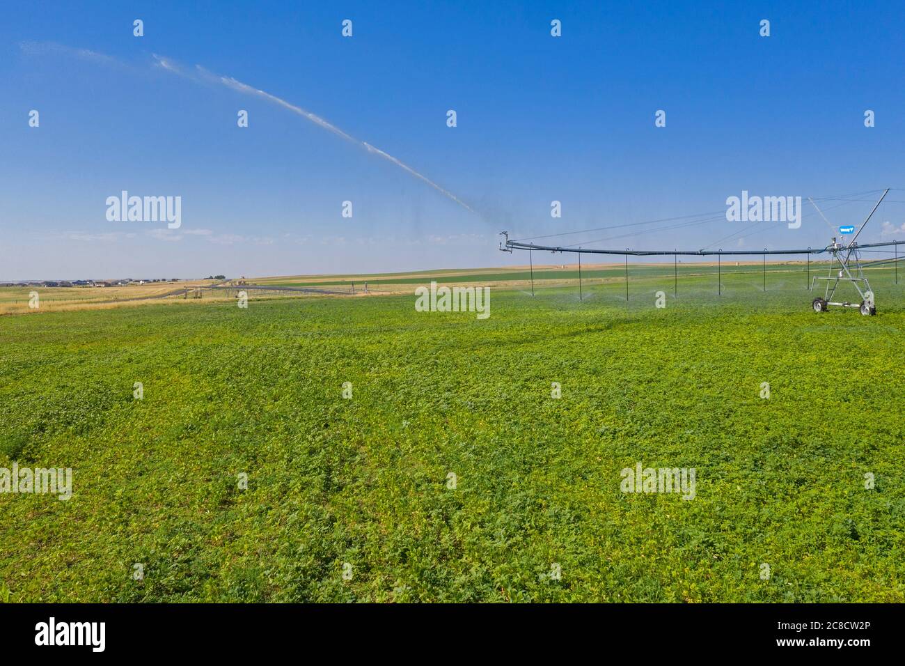 Gilcrest, Colorado - UN système d'irrigation à pivot central dans le comté de Weld, dans l'est du Colorado. La région ne reçoit que 15 pouces de pluie par an, donc de l'eau pour moi Banque D'Images
