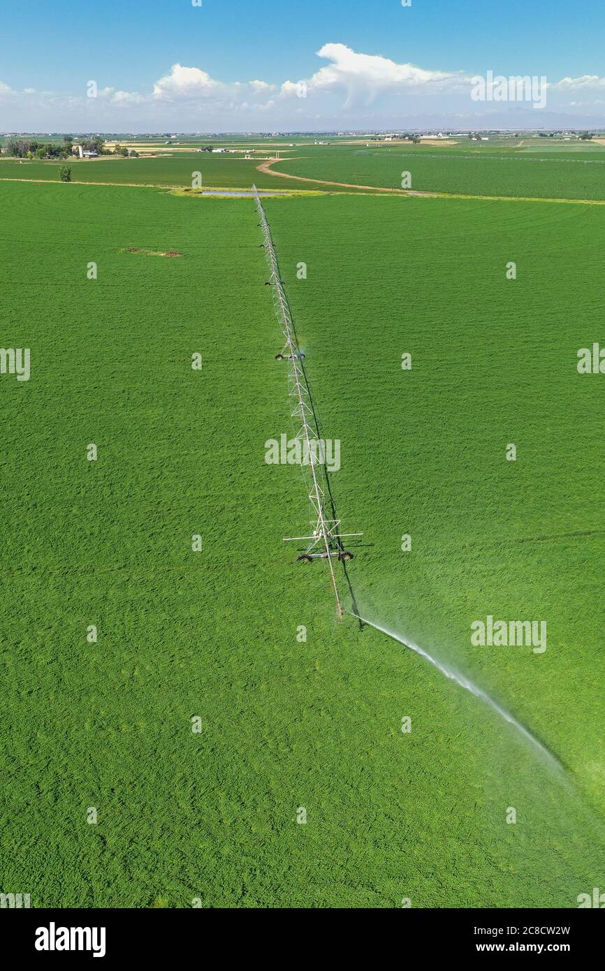 LaSalle, Colorado - UN système d'irrigation à pivot central dans le comté de Weld, dans l'est du Colorado. La zone ne reçoit que 15 pouces de pluie par an, donc de l'eau pour ir Banque D'Images