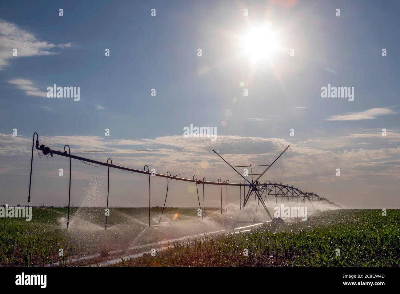 Hudson, Colorado - UN système d'irrigation à pivot central dans le comté de Weld, dans l'est du Colorado. La région ne reçoit que 15 pouces de pluie par an, donc de l'eau pour irr Banque D'Images