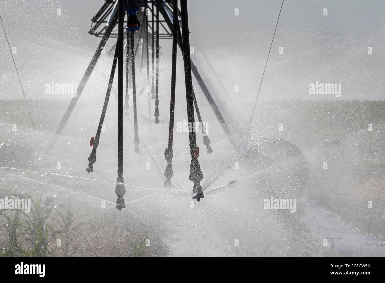 Hudson, Colorado - UN système d'irrigation à pivot central arrose une récolte de maïs dans le comté de Weld, dans l'est du Colorado. La région ne reçoit que 15 pouces de pluie par yea Banque D'Images