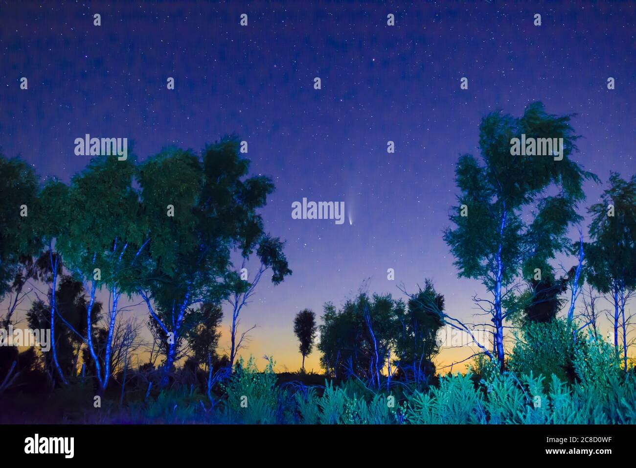 Image créative de Comet 2020 Neowise, vue de Stedham et Iping Common, Sussex, Royaume-Uni, juillet Banque D'Images