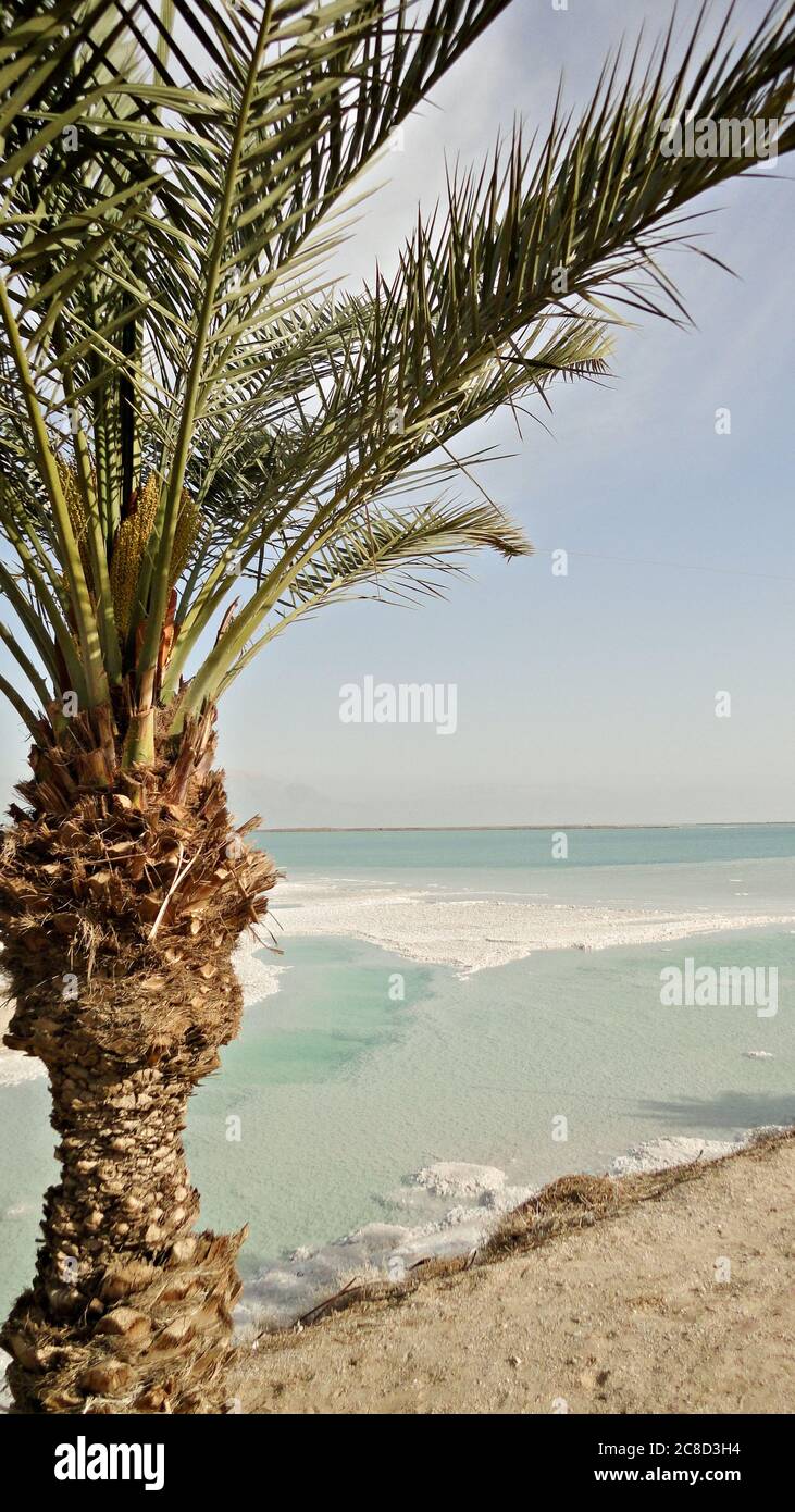 Israël, mer Morte de sel rivage Banque D'Images