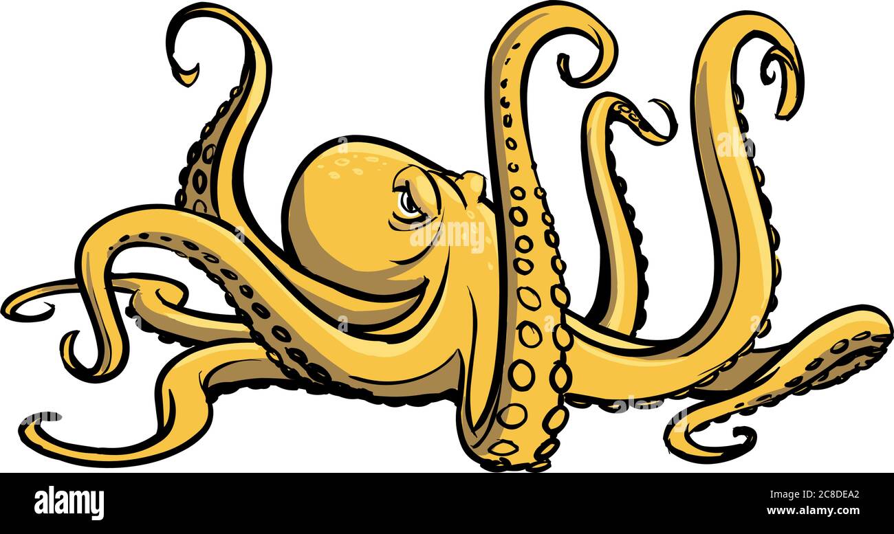 octopus jaune en colère tentacules animal Illustration de Vecteur
