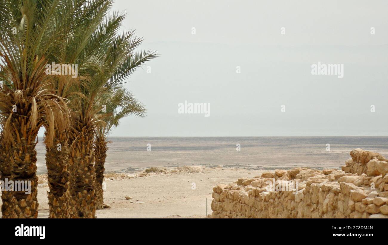 Israël paysage sec avec palmiers Banque D'Images