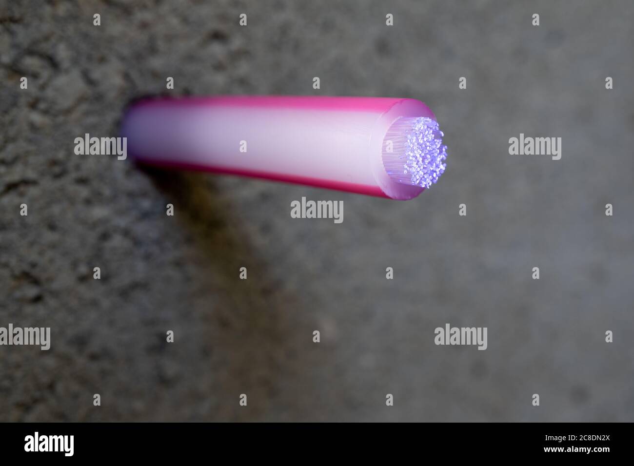 Câble lumineux à fibre optique pour un accès Internet rapide. Espace libre pour le texte. Banque D'Images
