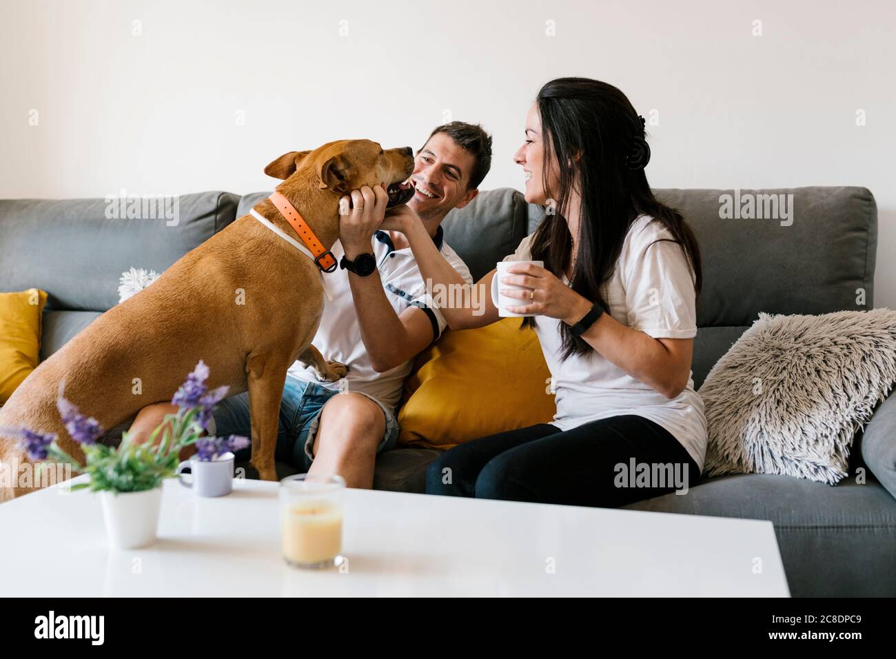 Couple se faire dorloter avec le chien tout en étant assis sur le canapé à la maison Banque D'Images
