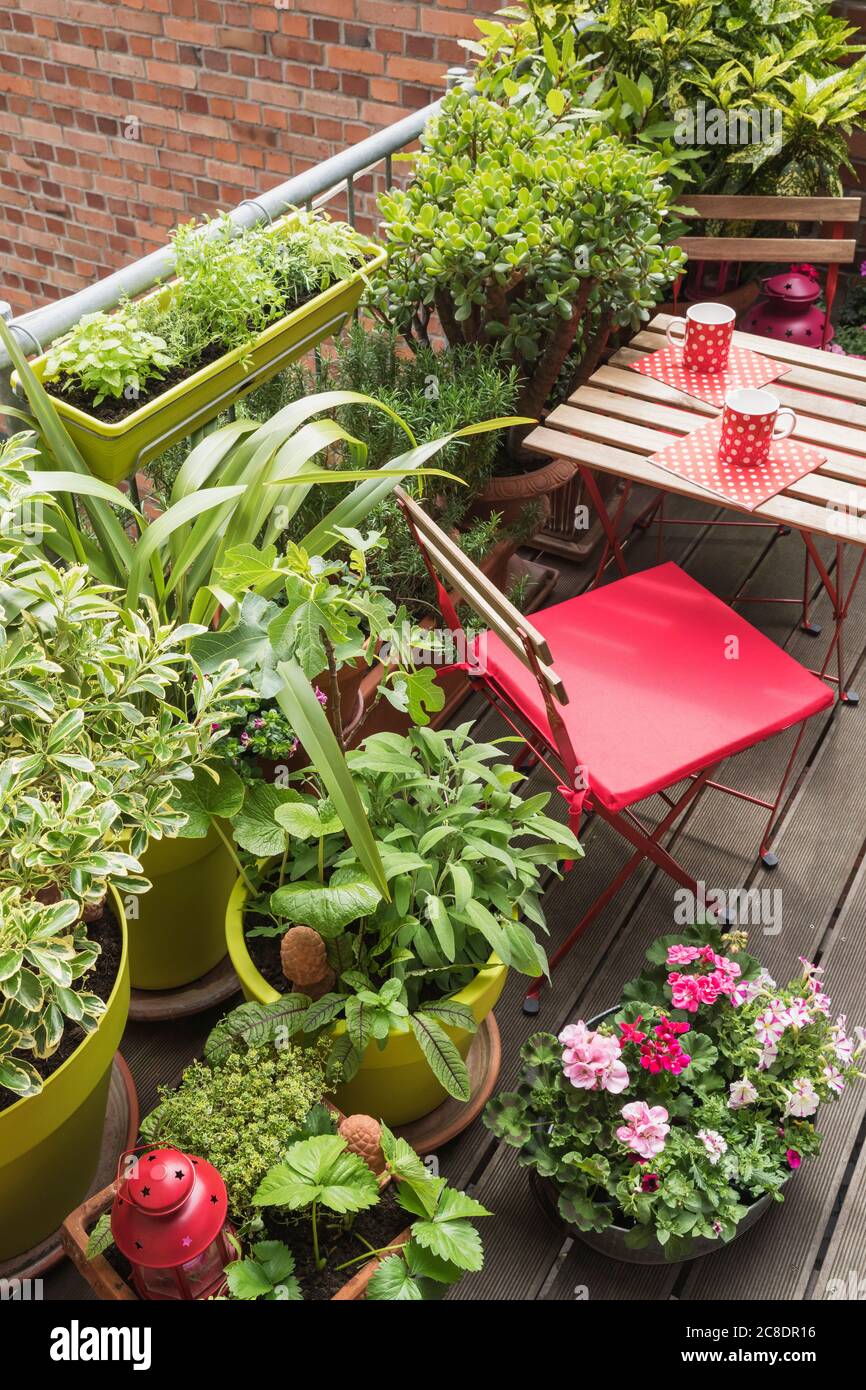 Balcon rempli d'une grande variété d'herbes en pot et de fleurs Banque D'Images