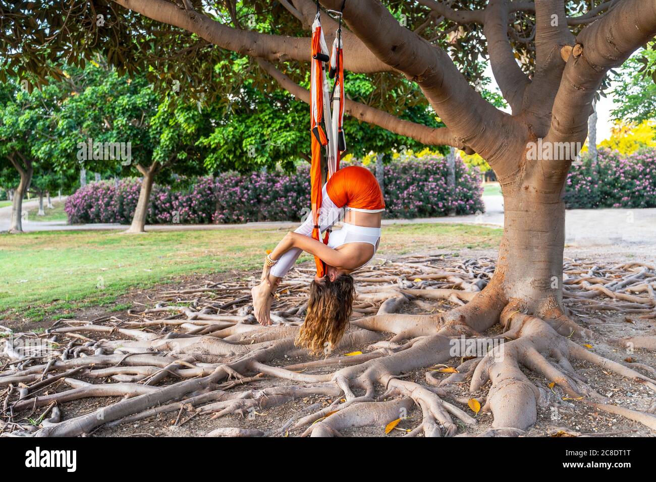 Femme mature pratiquant le yoga aérien sur la soie dans le parc Banque D'Images