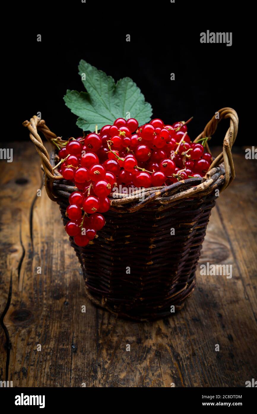 Petit panier en osier avec baies de cassis mûres Banque D'Images