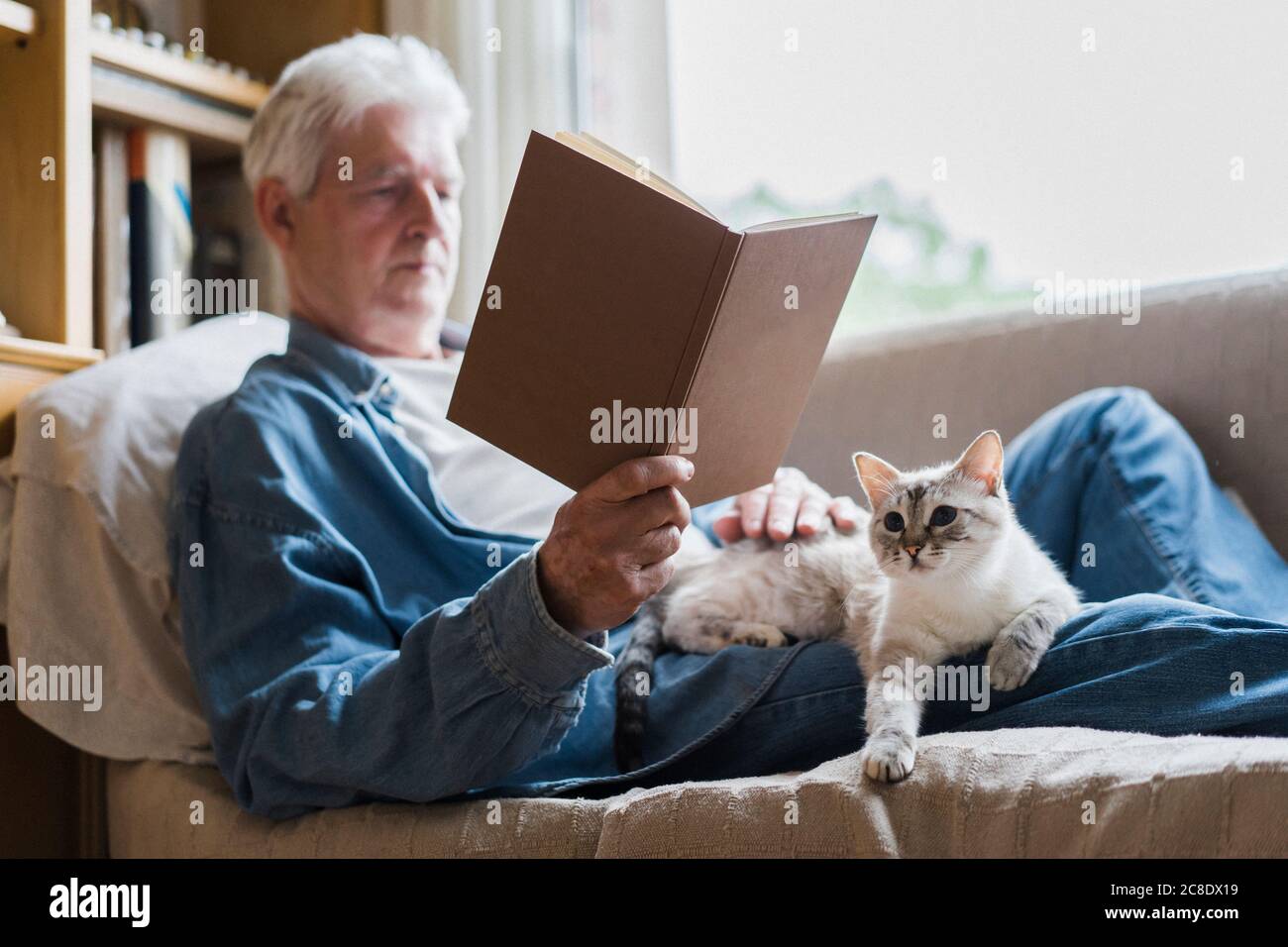 Homme senior lisant le livre pendant que le chat est couché sur les genoux accueil Banque D'Images