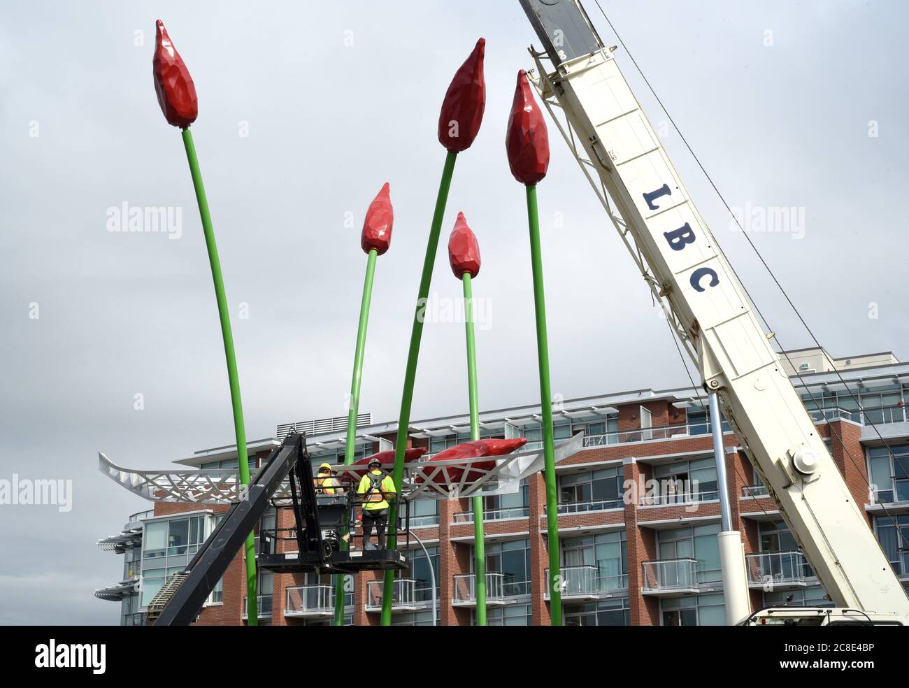 Victoria (Colombie-Britannique), Canada 23 juillet 2020 - UNE équipe de travail installe la sculpture de l’artiste Illarion Gallant Commerce Canoe dans son nouvel emplacement, à l’extrémité du pont de la rue Johnson, au centre-ville. La sculpture représente un bateau tenu en altitude par cinq roseaux verts à plateau rouge. Alamy Live News/Don Denton Banque D'Images