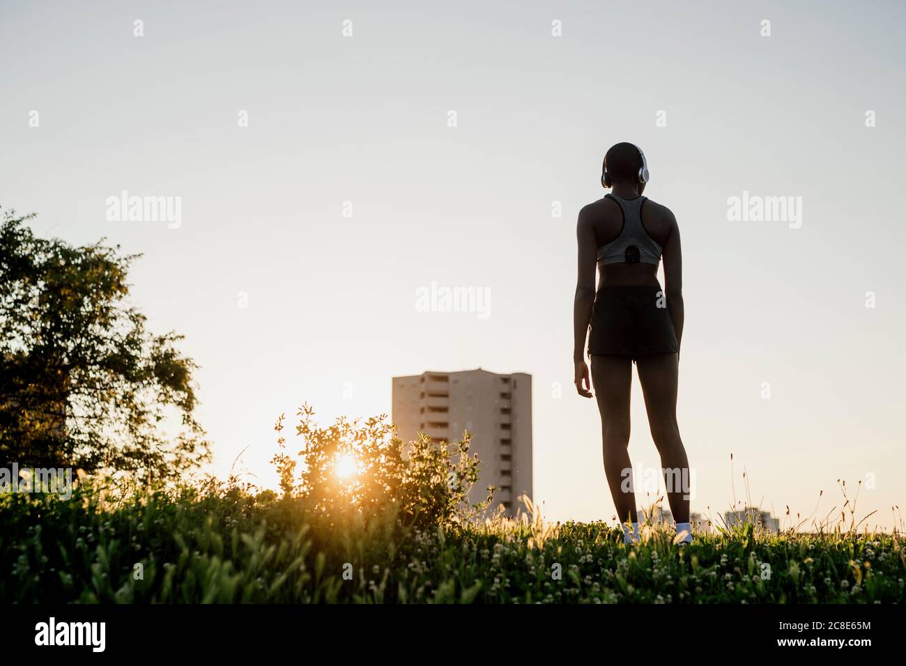 Jeune femme debout sur terre herbeuse contre ciel clair pendant coucher de soleil Banque D'Images